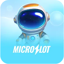 Microslot on Winbox