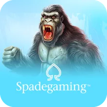 Spadegaming on Winbox